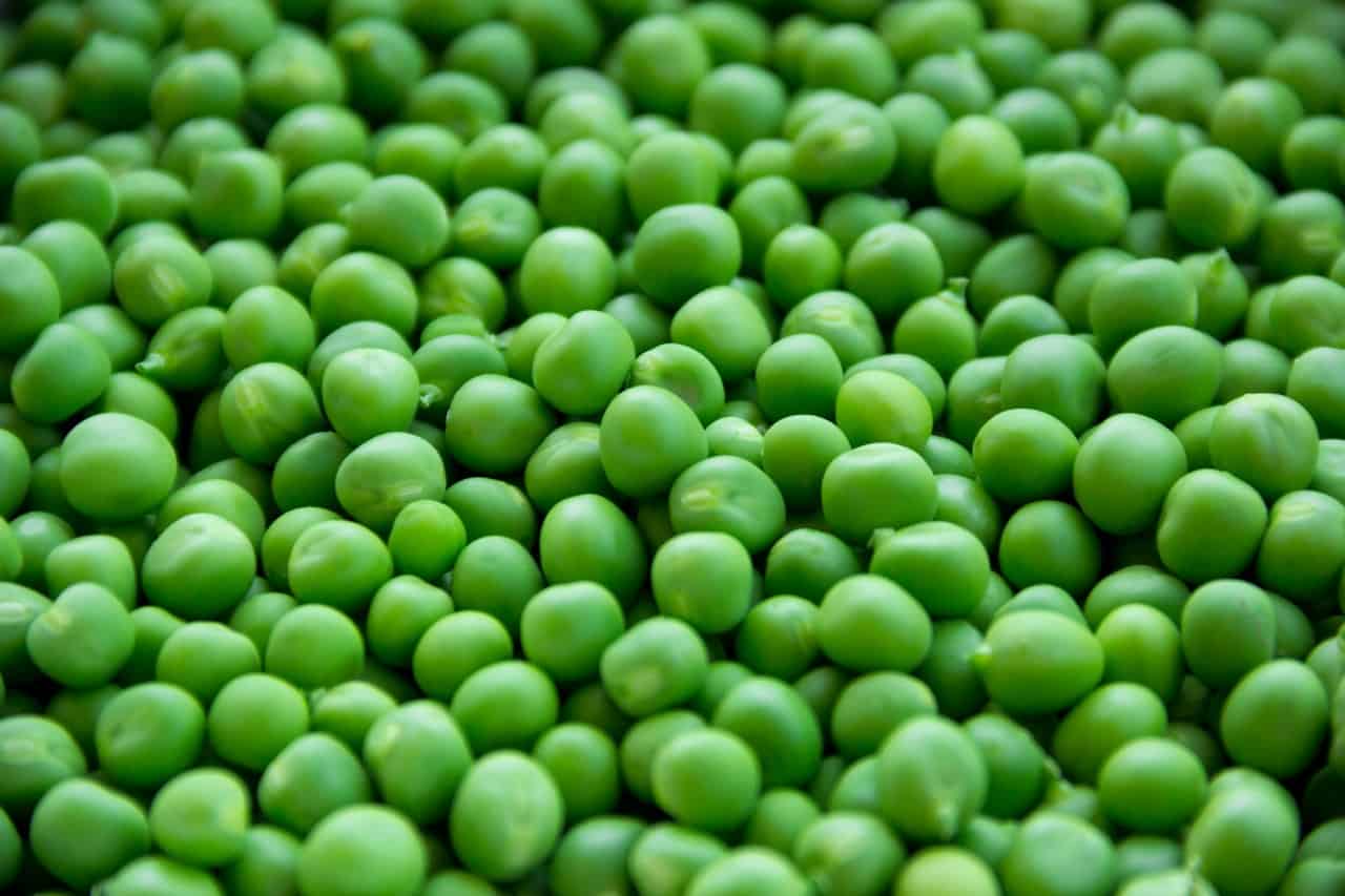 Peas Pet Food Reviewer peas-pet-food-reviewer
