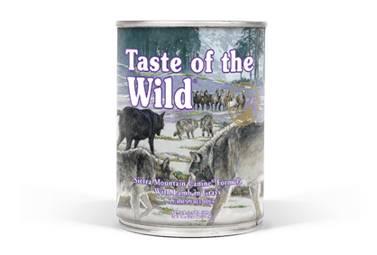 sierra mountain canine