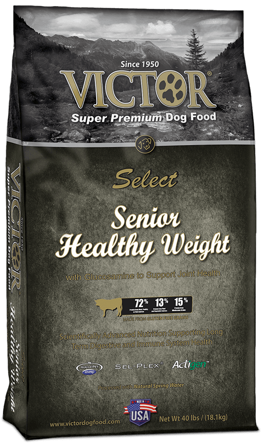 Best Senior Dog Food Ultimate Guide Pet Food Reviewer