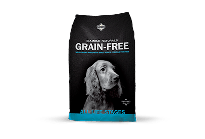 The 6 Best Dog Foods With Whitefish - Pet Food Reviewer