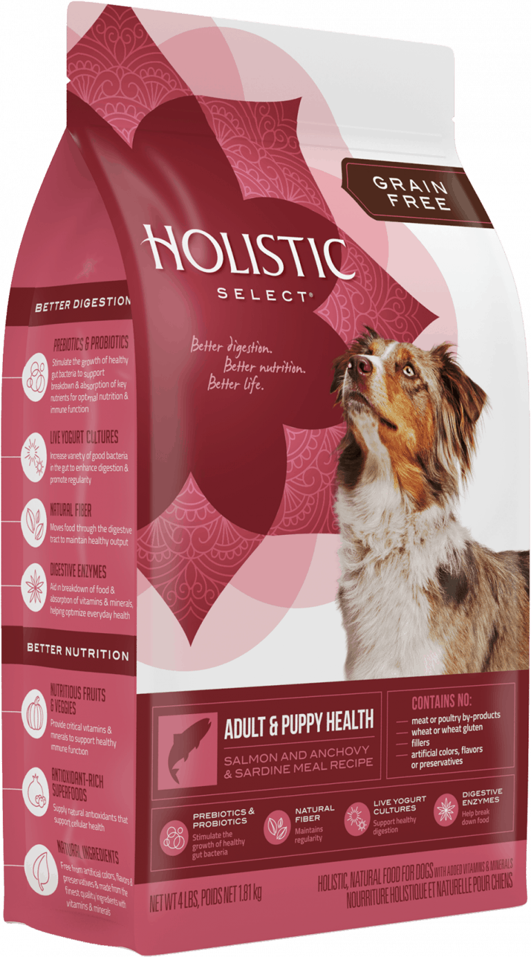 The 12 Best Dog Foods With Salmon Pet Food Reviewer