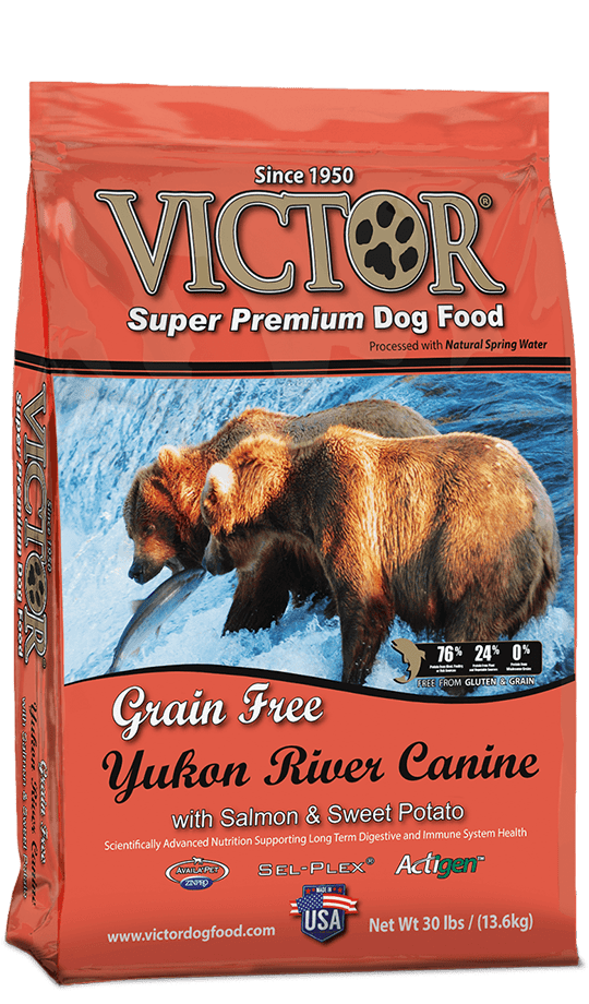 The 12 Best Dog Foods With Salmon - Pet Food Reviewer