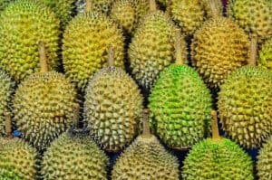 Can Dogs Eat Durian? - Pet Food Reviewer