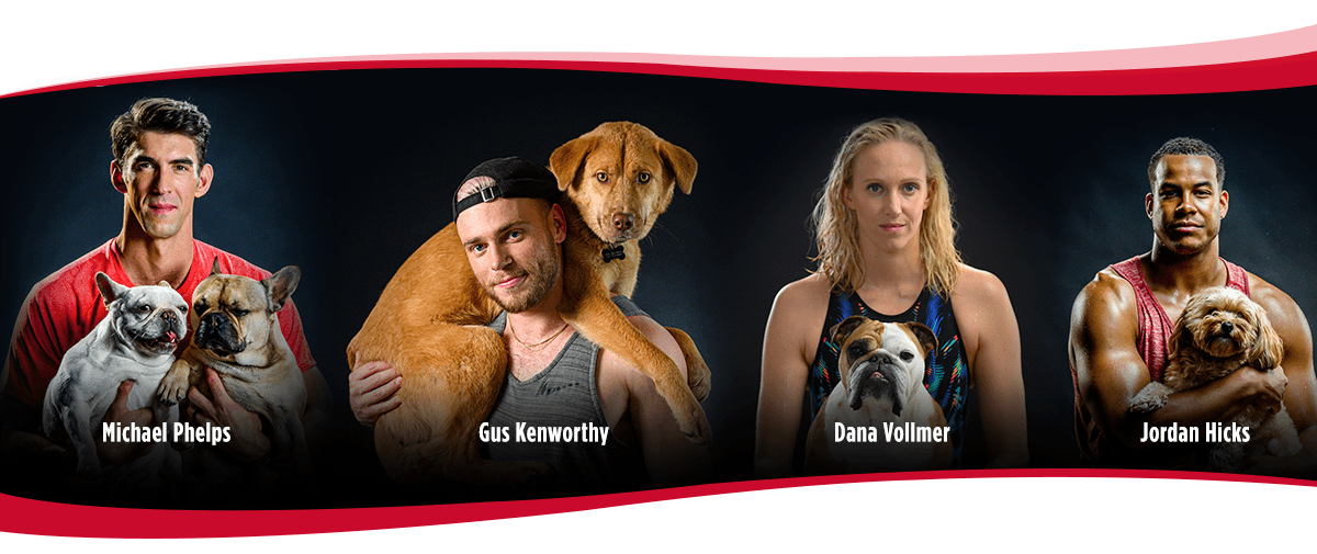 Nulo Reviews Recalls Ingredients Information Pet Food Reviewer