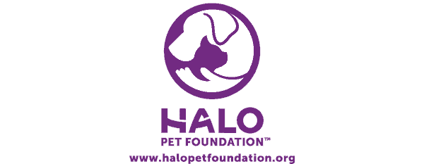 petsmart halo dog food