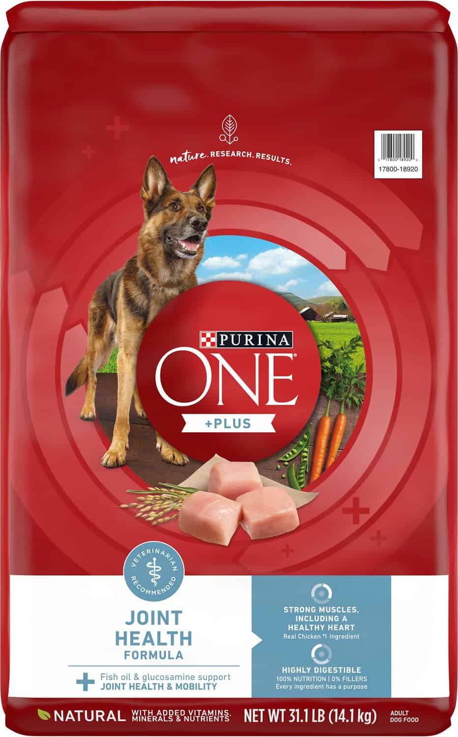 Purina One Dog Food Recall 2025